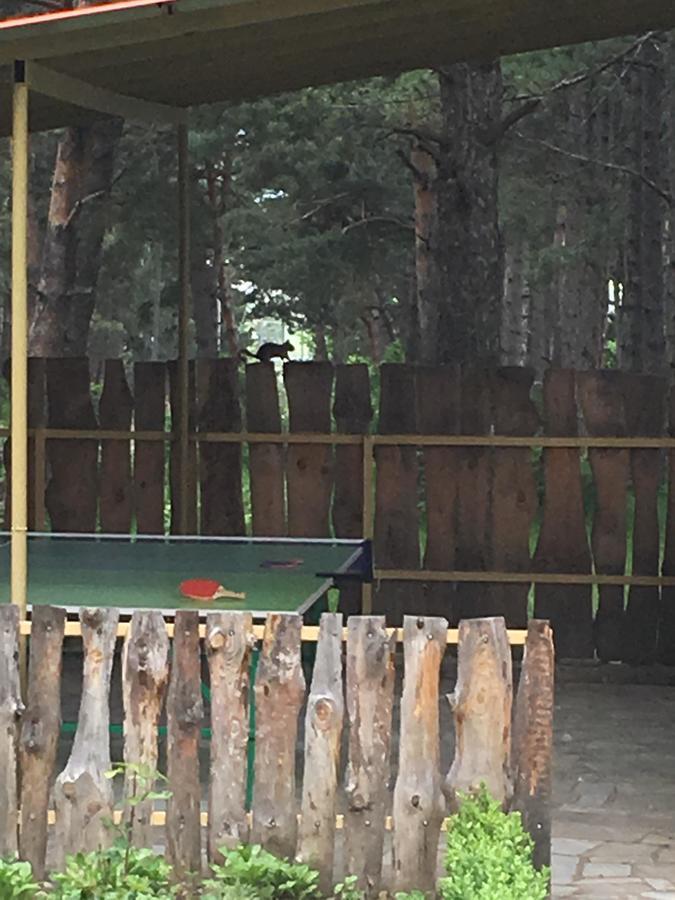 Nectar Hotel Dilijan Exteriör bild